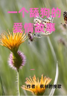 一个舔狗的爱情故事一个舔狗的爱情故事
